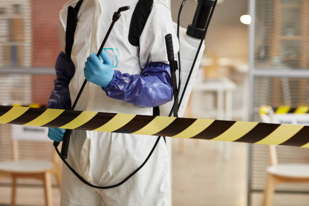 Professional Sewage Cleanup technician working in Tyler, TX